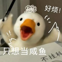 何同学